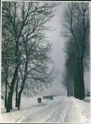 The road during winter (Road covered by ice) - Vintage Photograph