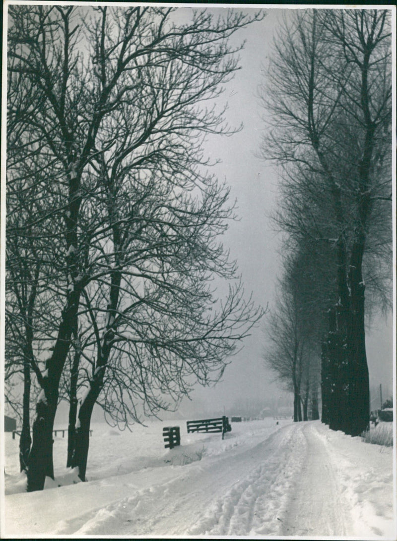 The road during winter (Road covered by ice) - Vintage Photograph