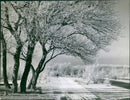 Winter landscape in a park - Vintage Photograph