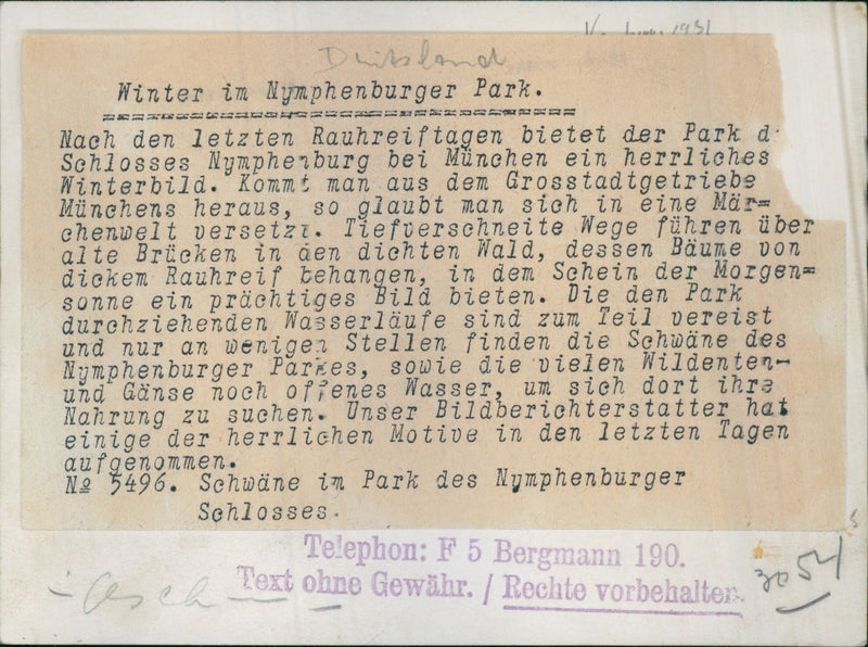 Swans on iced water of the Nymphenburger Park - Vintage Photograph