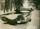 Swans on iced water of the Nymphenburger Park - Vintage Photograph