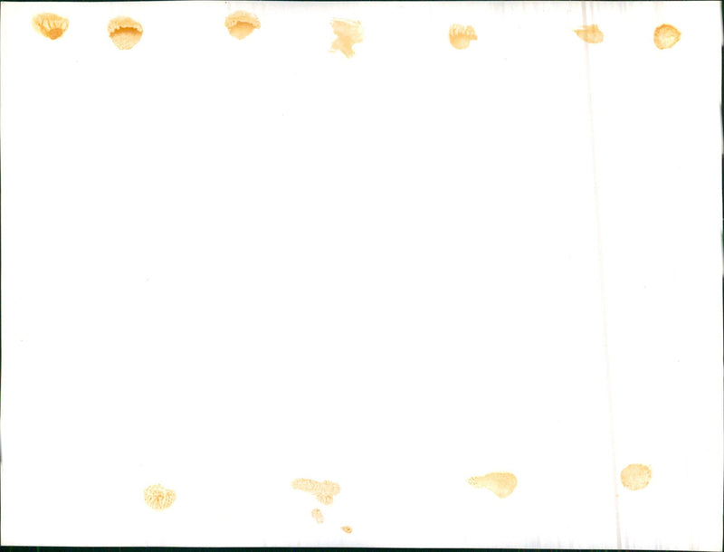 Winter landscape at the sea - Vintage Photograph