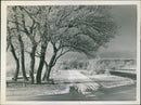 Winter landscape - Vintage Photograph