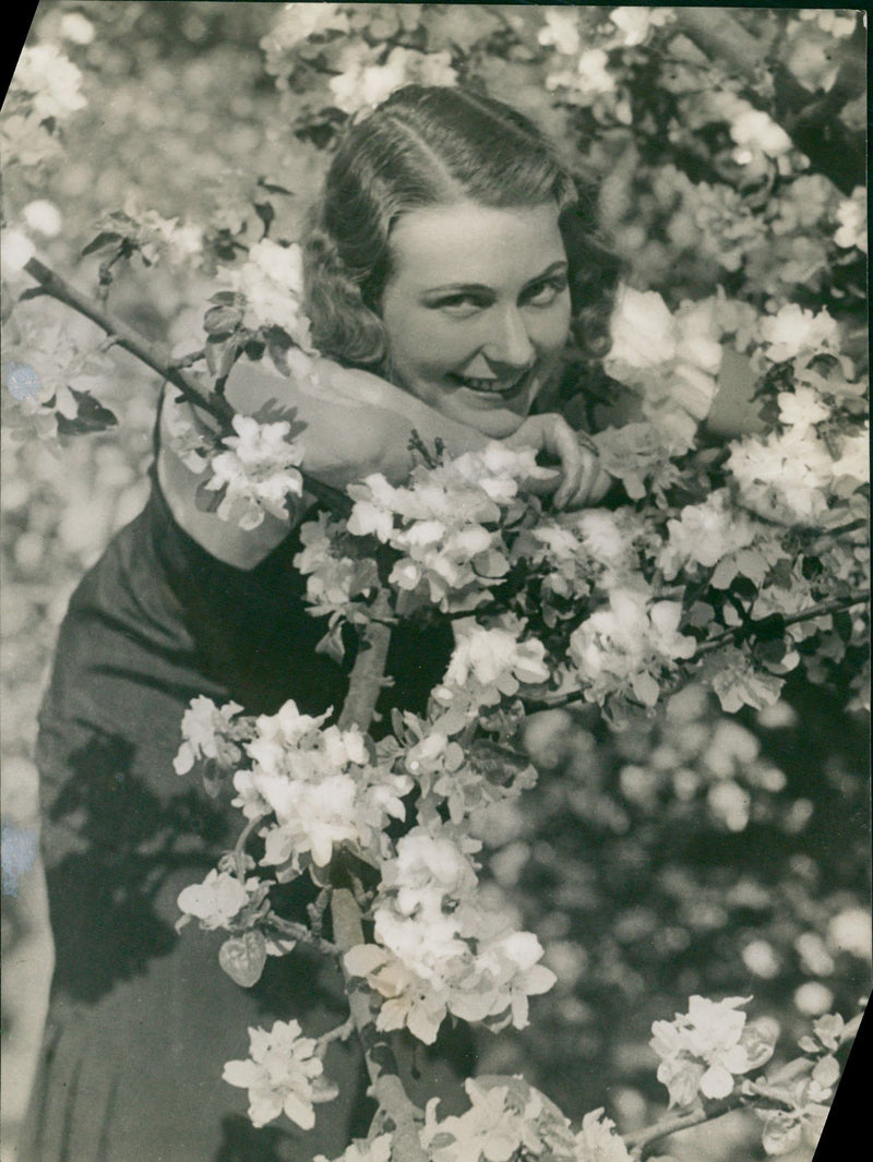 Smiling girl behind a blossoming tree - Vintage Photograph