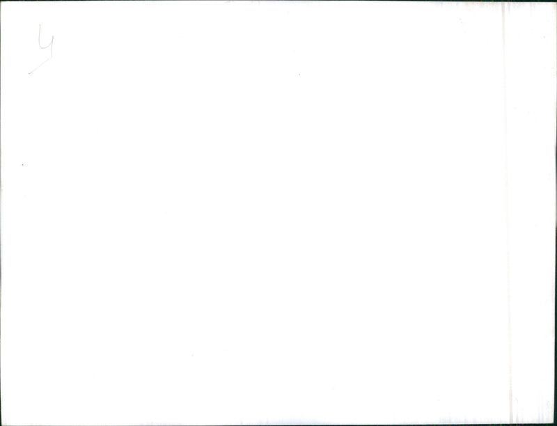 Winter landscape, snowy field - Vintage Photograph