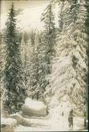 Silesian winter landscape - Vintage Photograph