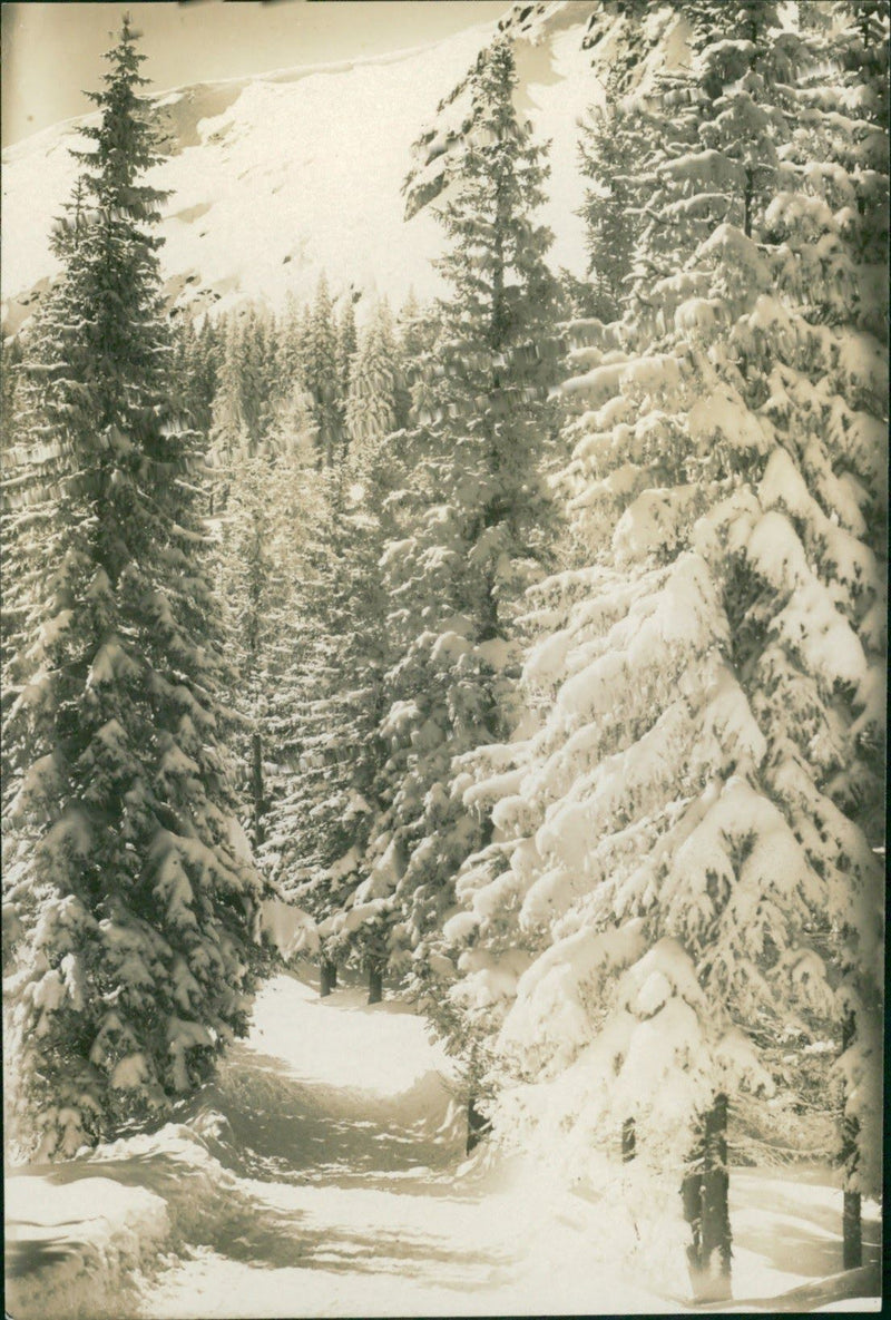Silesian winter landscape - Vintage Photograph