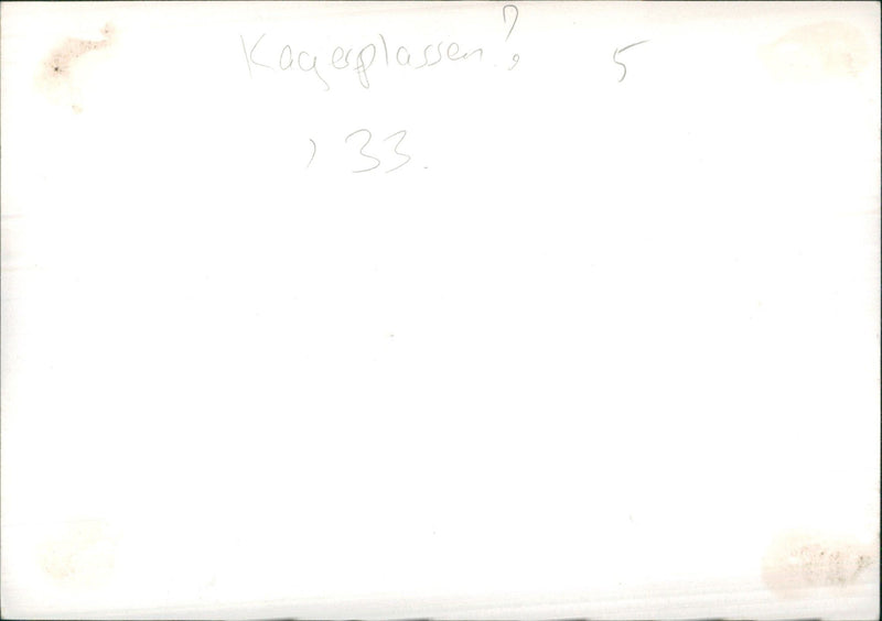 Lady in a winter landscape - Vintage Photograph