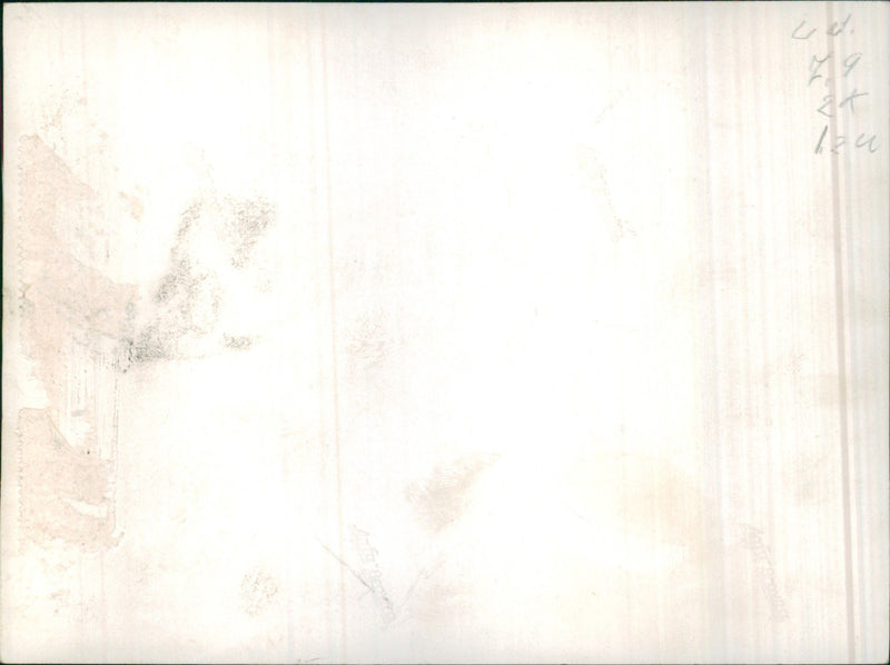 Tennis team - Vintage Photograph