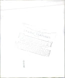 Tennis match - Vintage Photograph