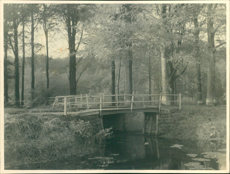 Bridge in the forest - Vintage Photograph