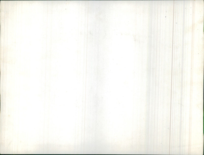 Group of men and women posing in an office - Vintage Photograph