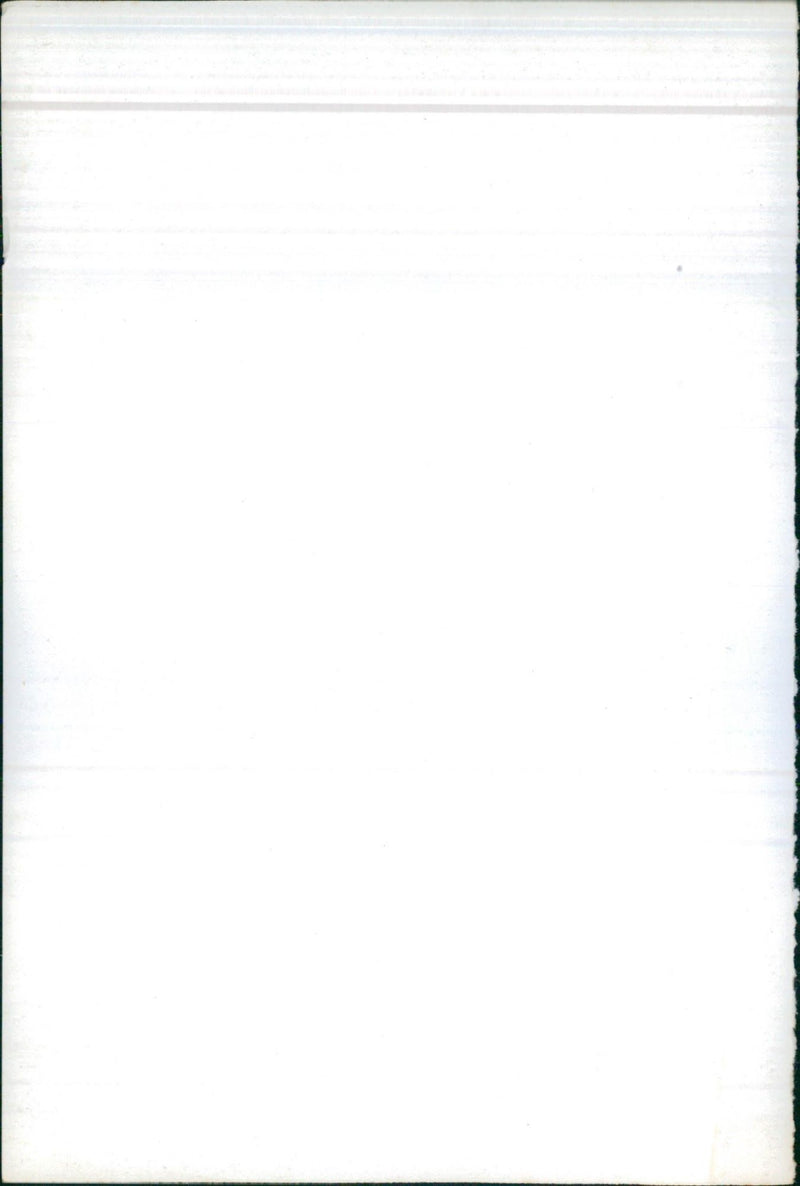 An army officer saluting on a podium - Vintage Photograph