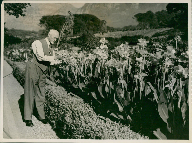 Man tending to his garden - Vintage Photograph