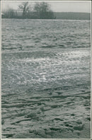 Outstretched Landscape - Vintage Photograph