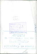 Beauty of Nature - Vintage Photograph