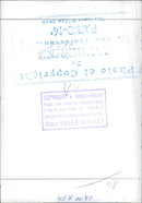 Swan in the Lake - Vintage Photograph