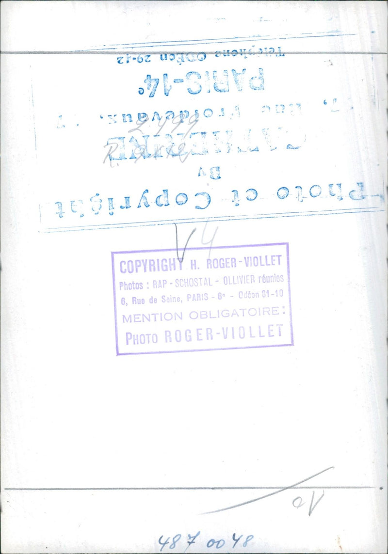 Swan in the Lake - Vintage Photograph