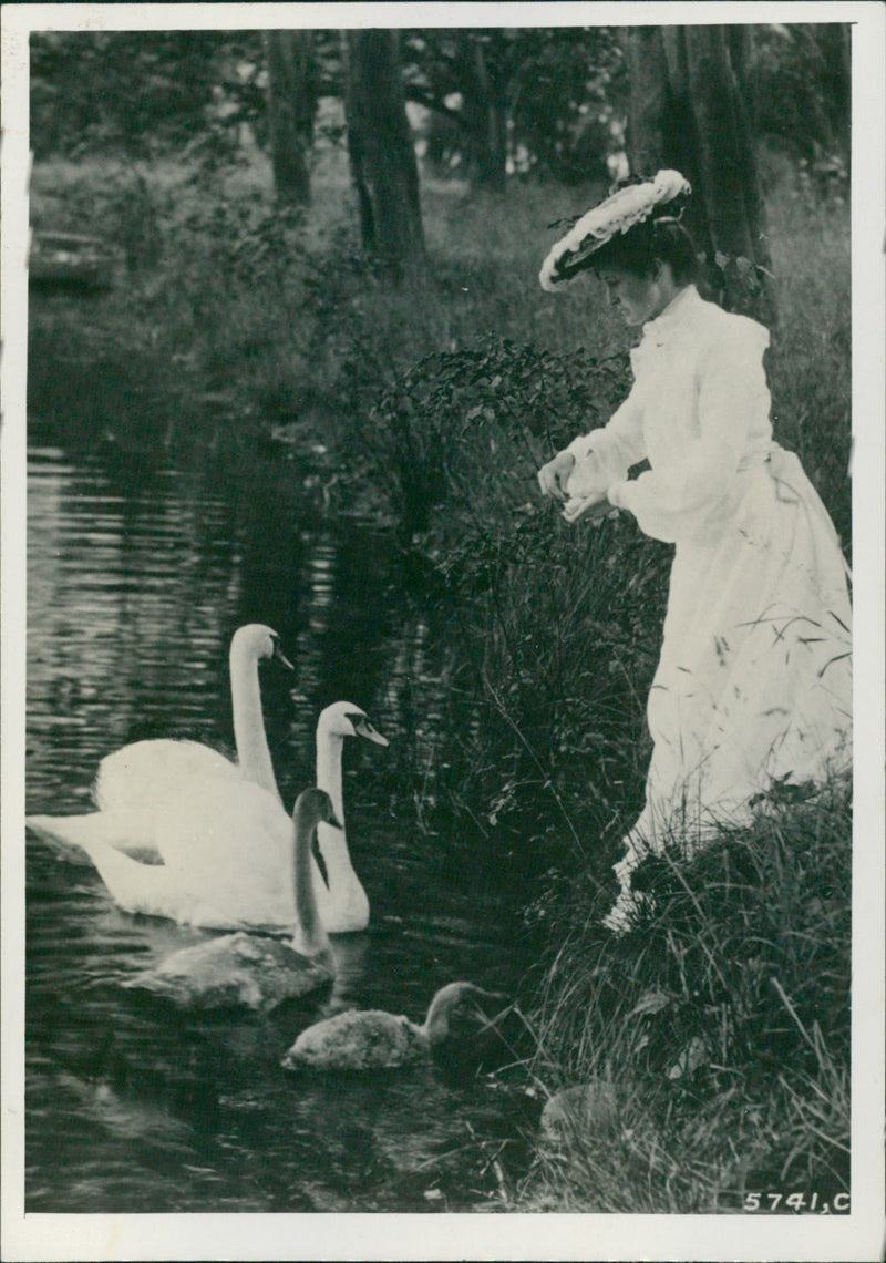 Swan in the Lake - Vintage Photograph