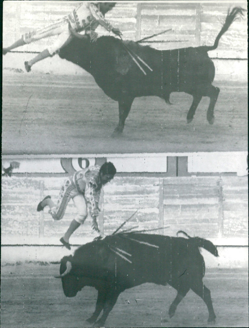 Bullfight - Vintage Photograph