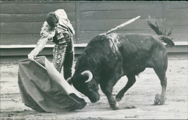 Manuel Francisco Vázquez Ruano "Curro Vázquez" - Vintage Photograph