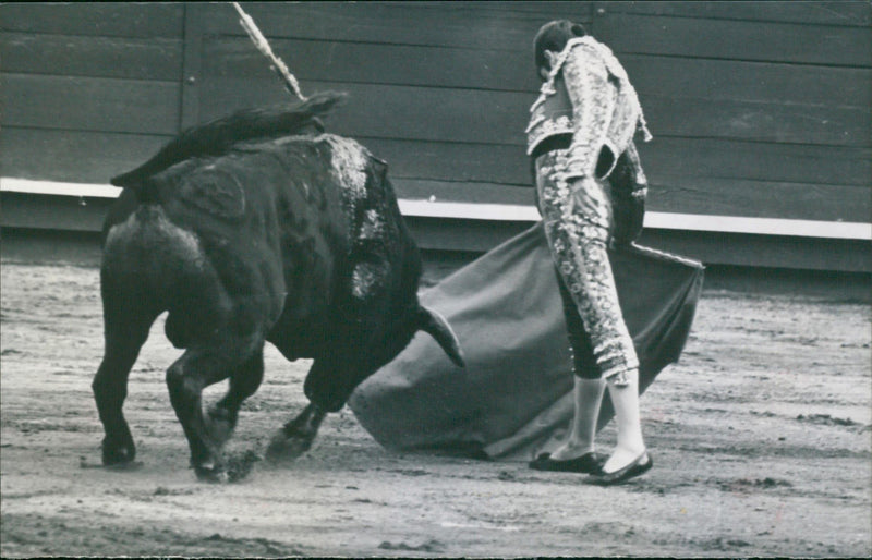 Manuel Francisco Vázquez Ruano "Curro Vázquez" - Vintage Photograph