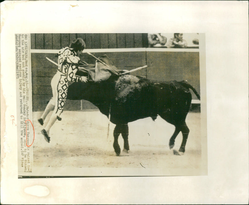 Manuel Francisco Vázquez Ruano "Curro Vázquez" - Vintage Photograph