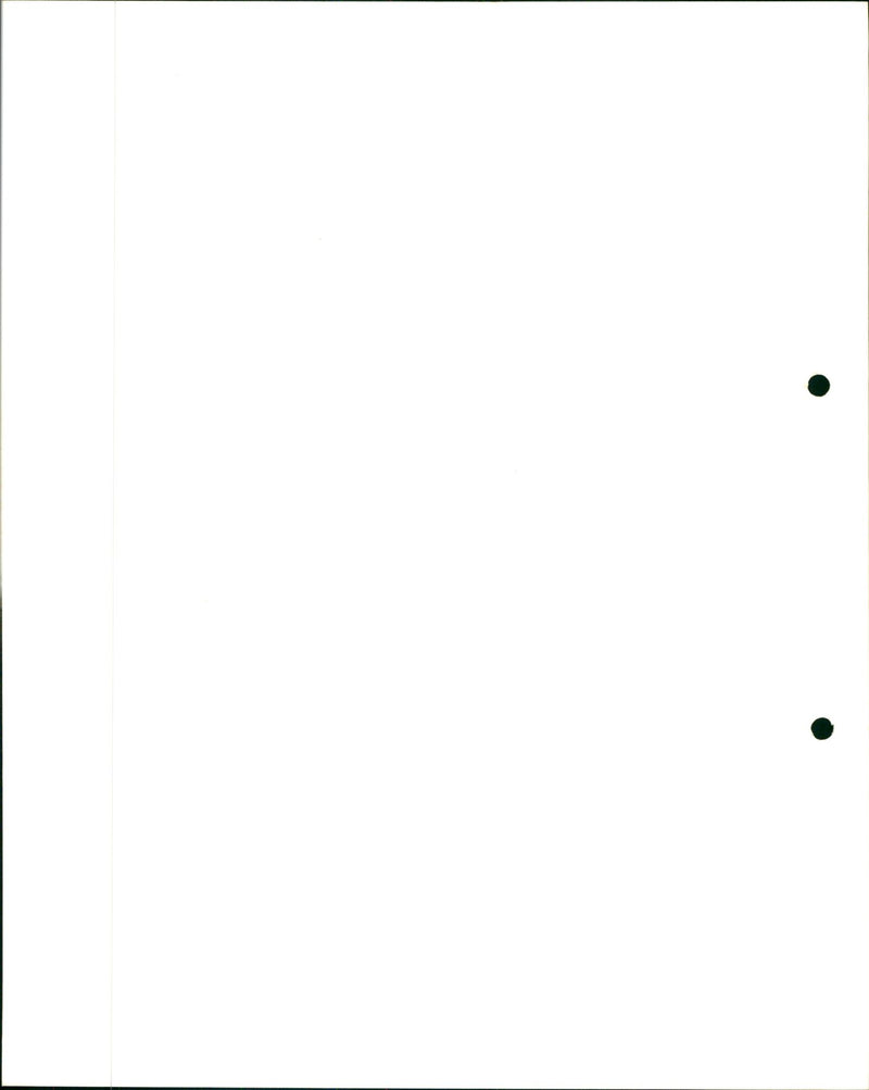 Two ponies having fun in the snow - Vintage Photograph