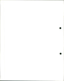 Birds in the snow - Vintage Photograph