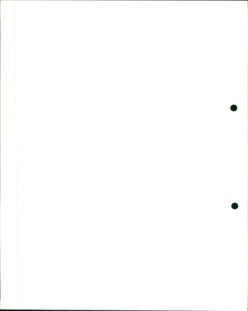 Birds in the snow - Vintage Photograph