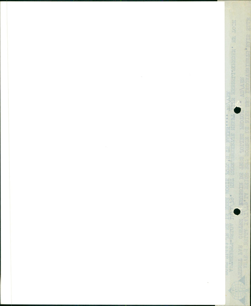 Snow in the trees - Vintage Photograph