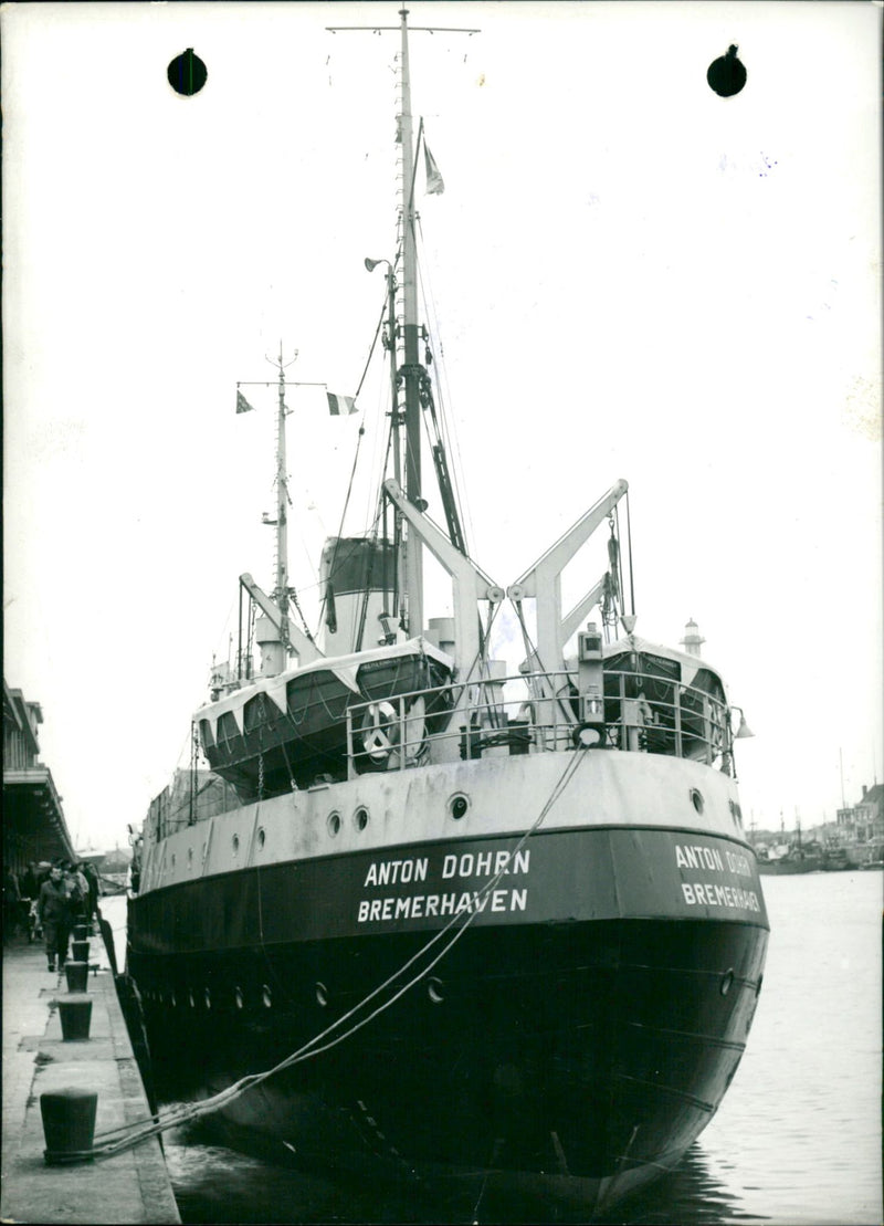Hospital ship 'Anton Dohrn' - Vintage Photograph
