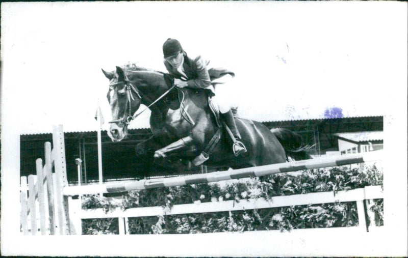 Equestrian, jump racing - Vintage Photograph