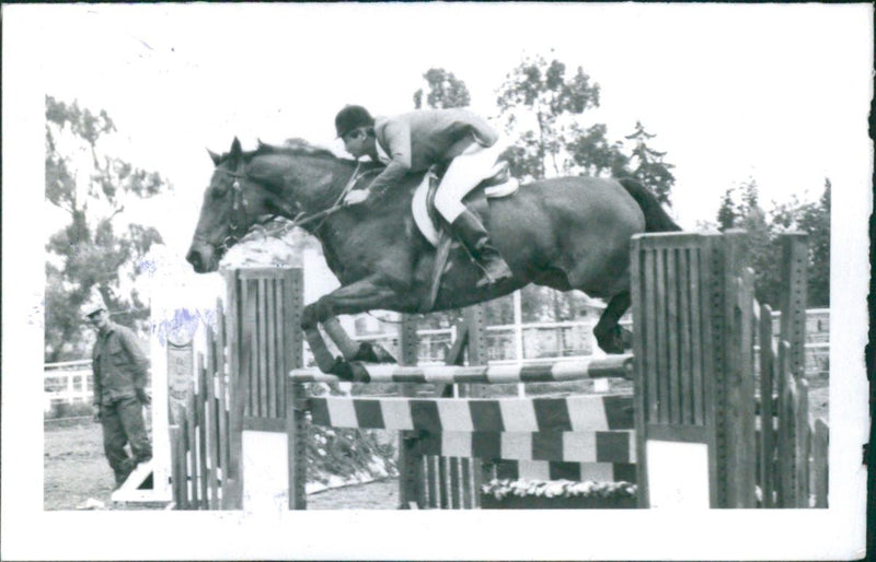 Equestrian, Jump Racing - Vintage Photograph
