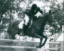 Equestrian, jump racing - Vintage Photograph