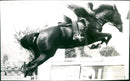 Equestrian - Vintage Photograph