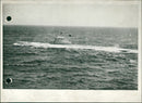 Egyptian Naval Review - Vintage Photograph