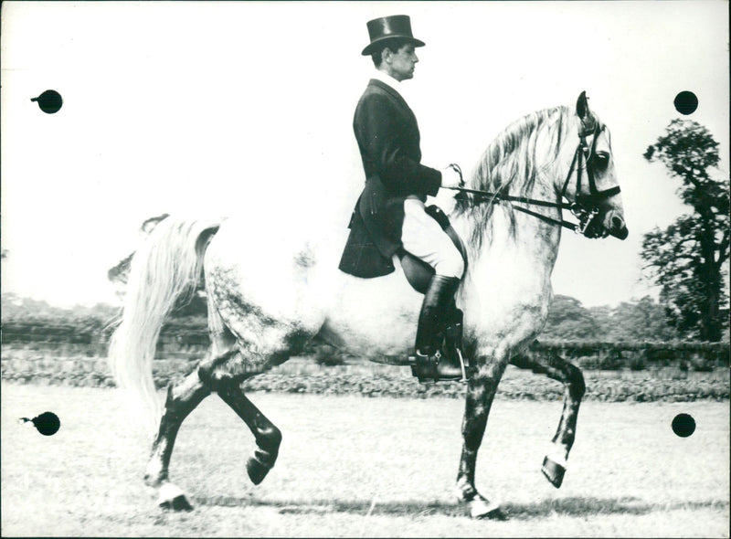 Dressage demonstration by M. Robert Hall - Vintage Photograph