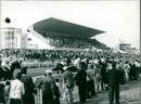 Wellington Hippodrome Ostend. - Vintage Photograph