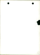 Two dogs - Vintage Photograph