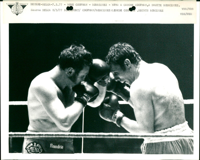 Boxing: Jean Pierre Coopman (Belgium)- Lucien Rodriguez (France) - Vintage Photograph