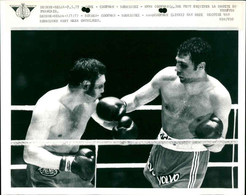 Boxing: Jean Pierre Coopman (Belgium)- Lucien Rodriguez (France) - Vintage Photograph