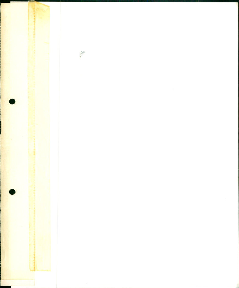 Fête de la musique (Music day) - Vintage Photograph