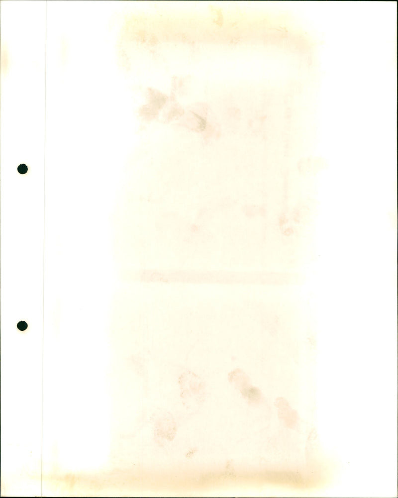 Princess Paola - Vintage Photograph