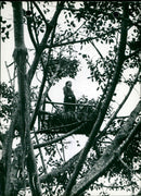 The Vietnam war - Vintage Photograph