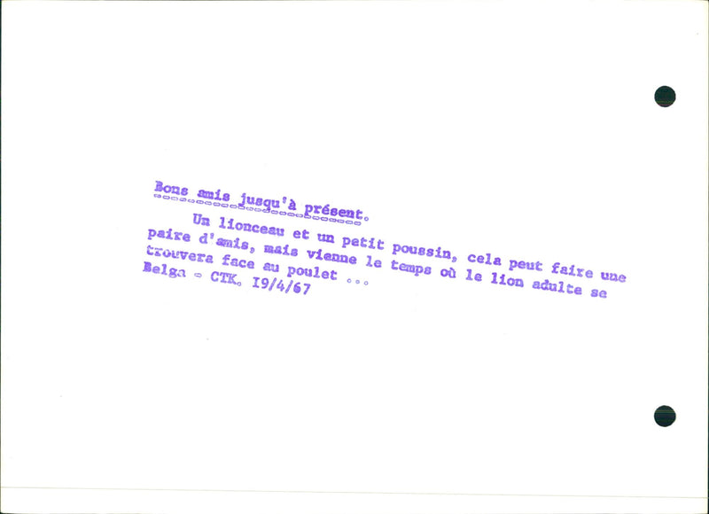 Good friends so far - Vintage Photograph