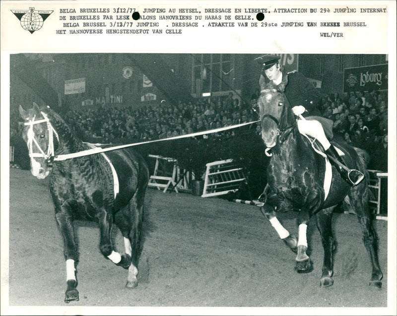 Equestrian games in Brussels - Vintage Photograph