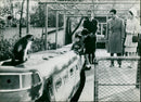 The Japanese Crown prince with his wife and children at the Tokyo zoo - Vintage Photograph
