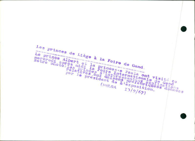 Prince Albert and Princess Paola - Vintage Photograph