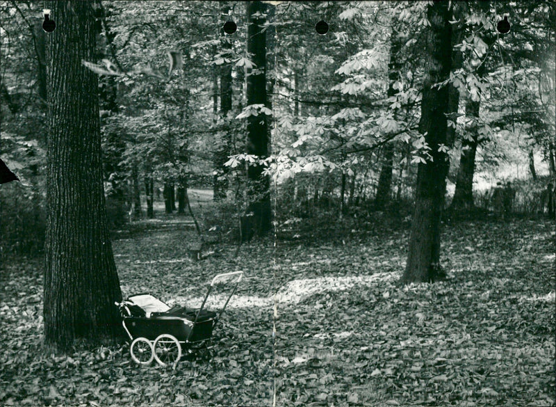 A celebration of the autumn season - Vintage Photograph